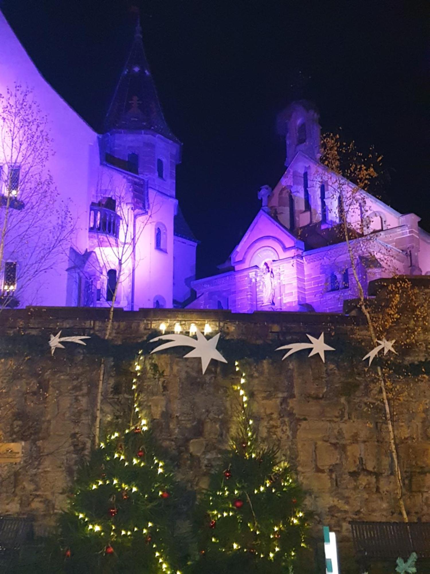 Apartament Fleur De Vigne Eguisheim Pokój zdjęcie