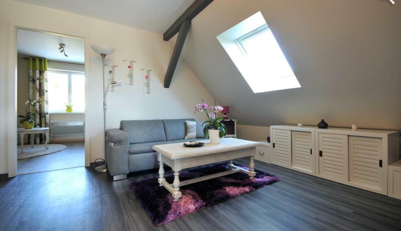 Apartament Fleur De Vigne Eguisheim Zewnętrze zdjęcie