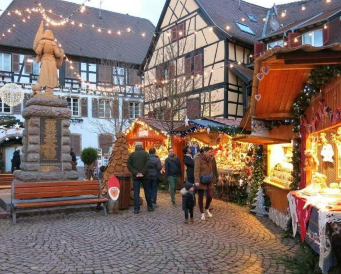 Apartament Fleur De Vigne Eguisheim Zewnętrze zdjęcie