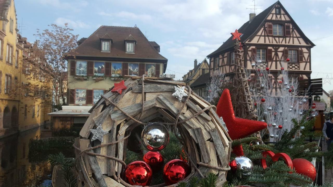 Apartament Fleur De Vigne Eguisheim Zewnętrze zdjęcie