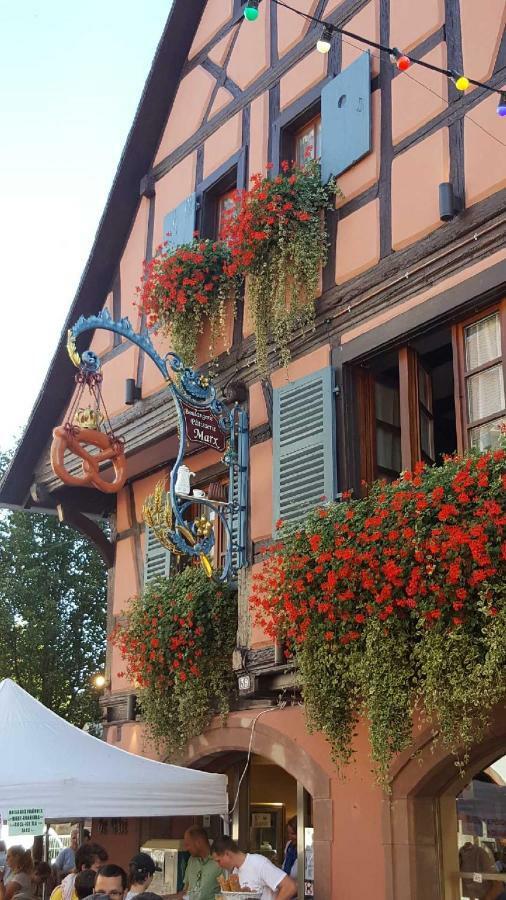 Apartament Fleur De Vigne Eguisheim Zewnętrze zdjęcie