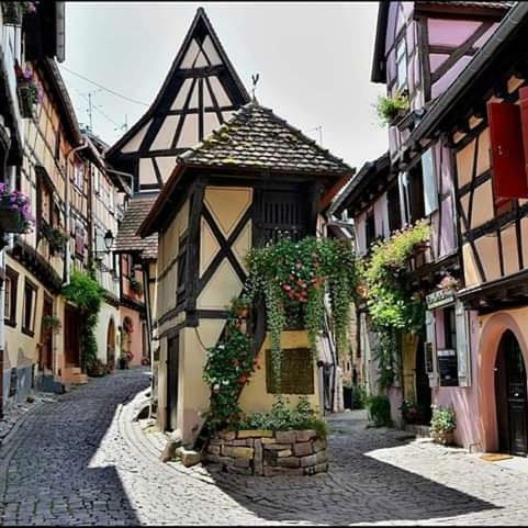 Apartament Fleur De Vigne Eguisheim Zewnętrze zdjęcie