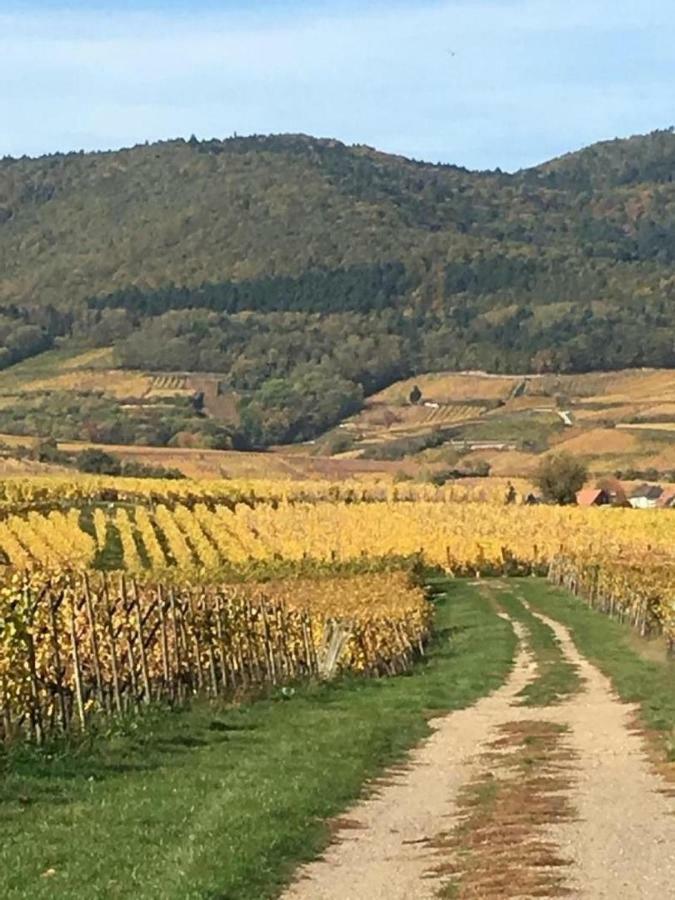 Apartament Fleur De Vigne Eguisheim Zewnętrze zdjęcie