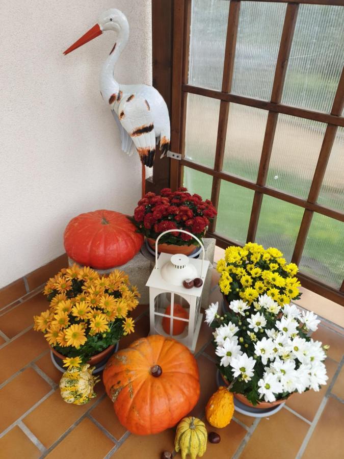 Apartament Fleur De Vigne Eguisheim Zewnętrze zdjęcie